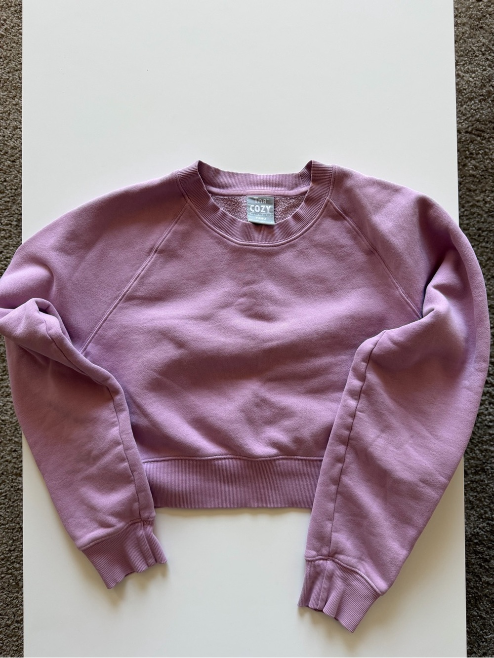 TNA Cozy Fleece cropped Sweatshirt in Light Lavender